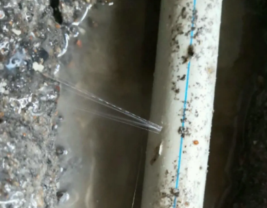 措勤测漏水哪家好