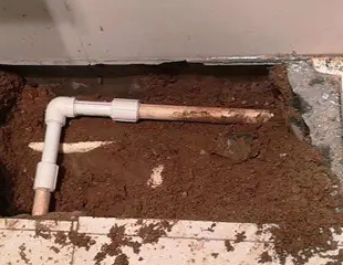 措勤测漏水哪家好