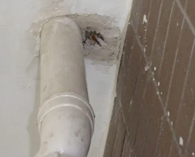 措勤漏水检测哪家好